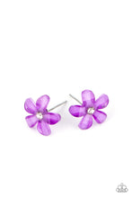 Load image into Gallery viewer, Starlet Shimmer Flower Earrings - 5 Pack
